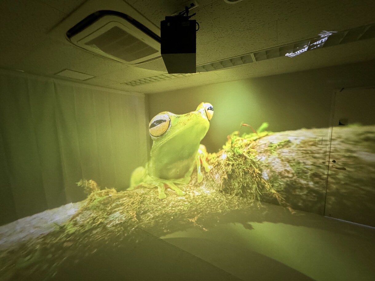 VRゴーグル不要の全員参加型VRを提案します 360°動画再生に最適なVRプロジェクターを使用したイベント イメージ5
