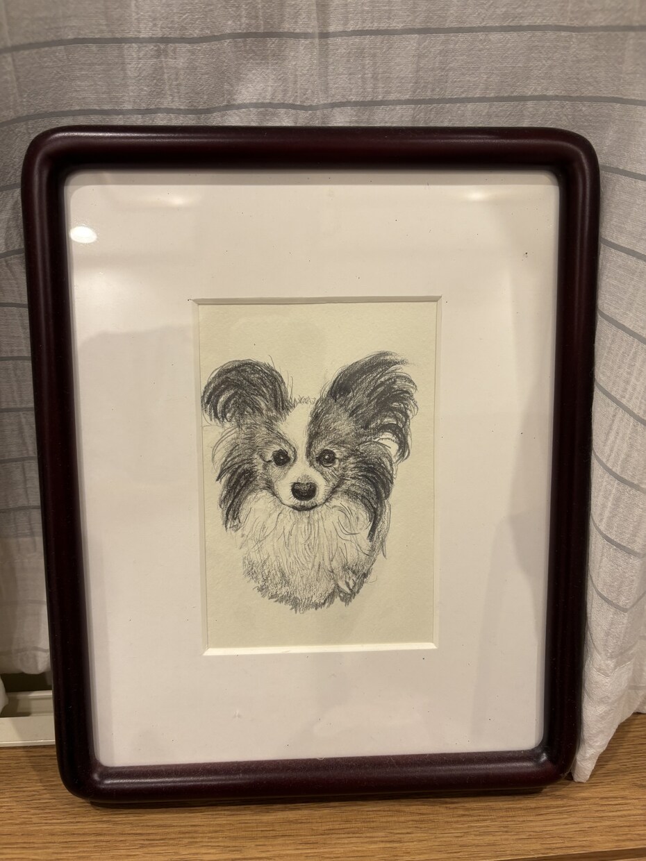 ペットの似顔絵描きます 愛ペットの似顔絵いかがですか？原画お送ります！ イメージ4