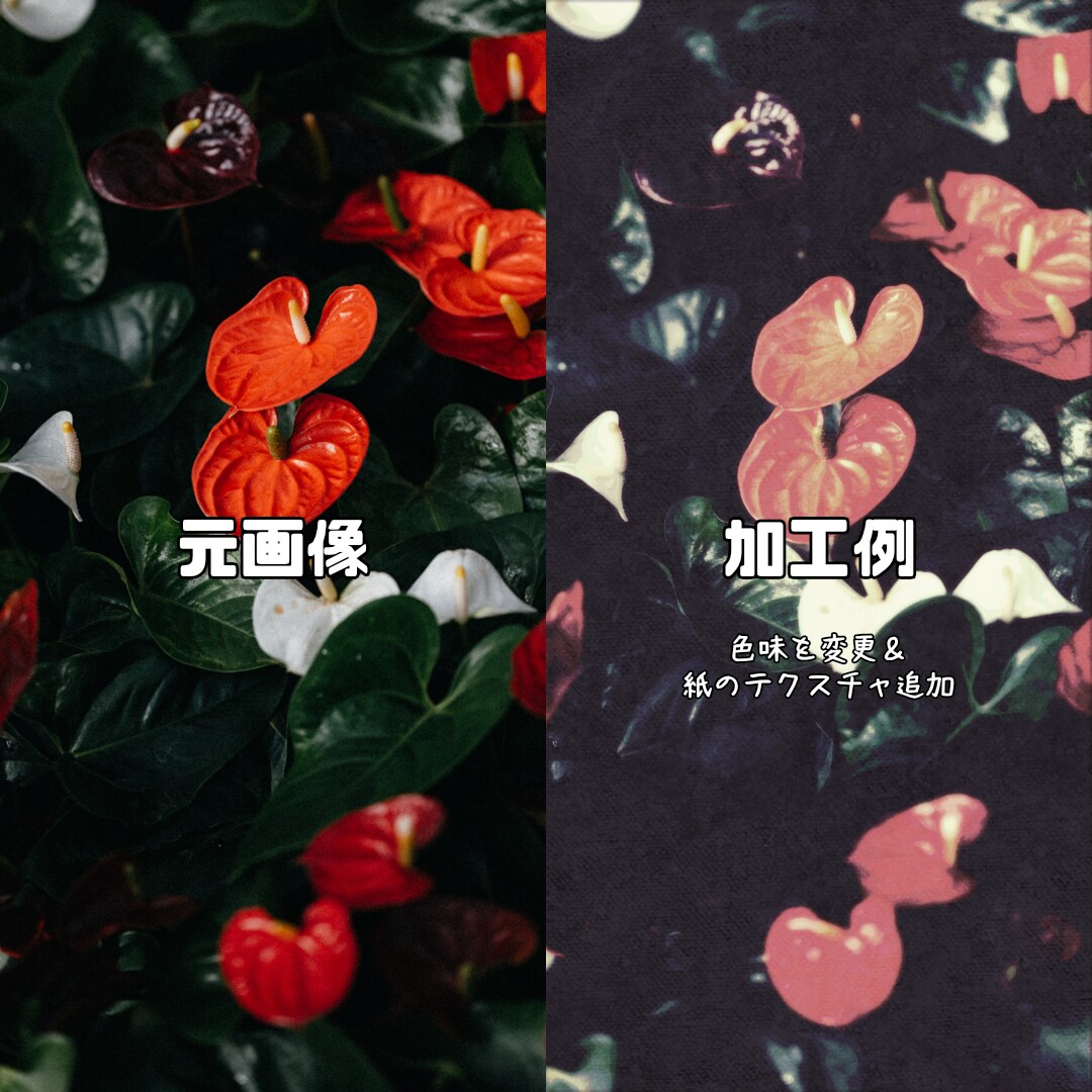 写真等の画像の雰囲気を変えます お持ちの写真にオリジナルのニュアンスが加わります イメージ2