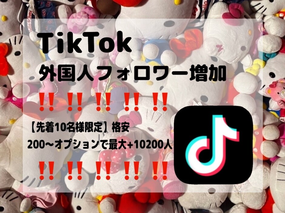 限定価格‼️tiktokフォロワー増やします 実績作り✴︎格安✴︎TikTokフォロワー増加✴︎即納 イメージ1