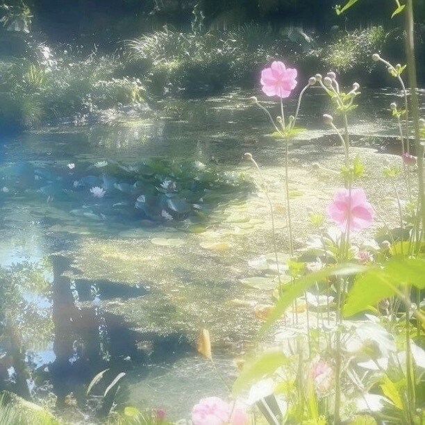 気軽なメンタル相談！お悩みをききます あなたからあなたらしい生活、仕事、人生を歩むためのお手伝い イメージ3