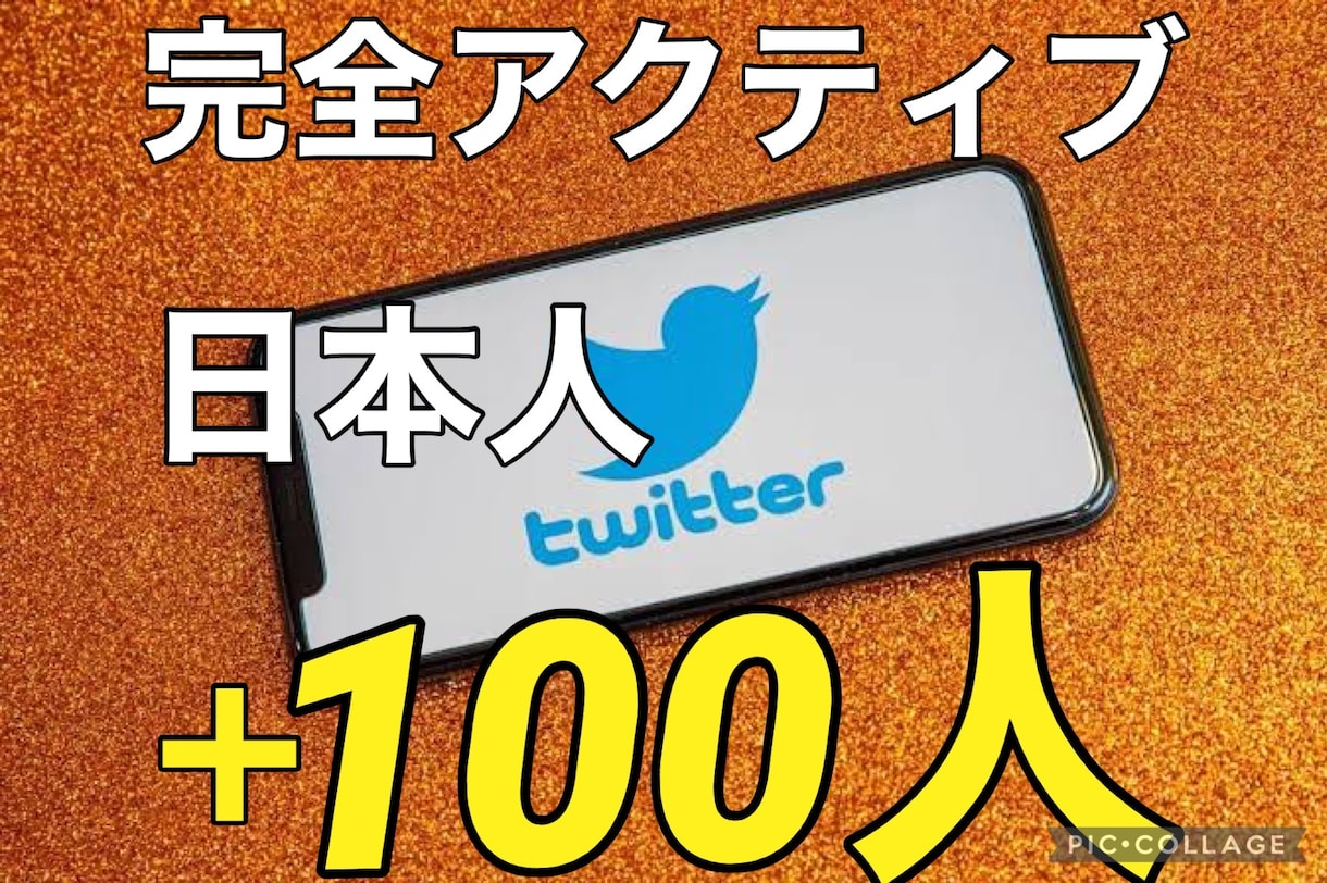 Twitterの日本人フォロワー100人増やします あなたを気に入った人だけがフォロー！ イメージ1