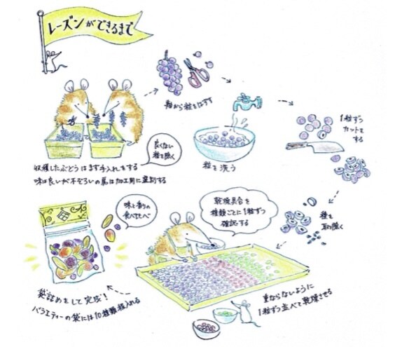 絵本風のレシピ手順イラストをお描きします 【商用利用可】分かりやすくて読みたくなるようなフローイラスト イメージ3