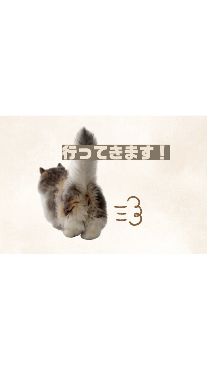 一生使える ペットのLINEスタンプを作成します 愛しのペット達のオリジナルLINEスタンプを作成します。 イメージ5