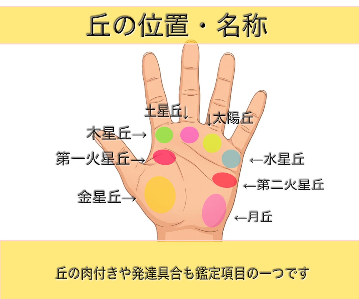 120冊超研究☆手相の専門家がこってり占います 1万文字/翌日お届け/写真に手相をなぞり書きしてプレゼント！ イメージ5