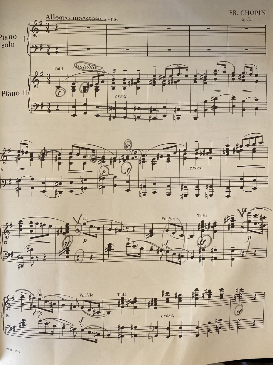 わくわくピアノレッスンでございます 作曲家目線でのピアノレッスン、理論に基づいた的確な指導 イメージ4