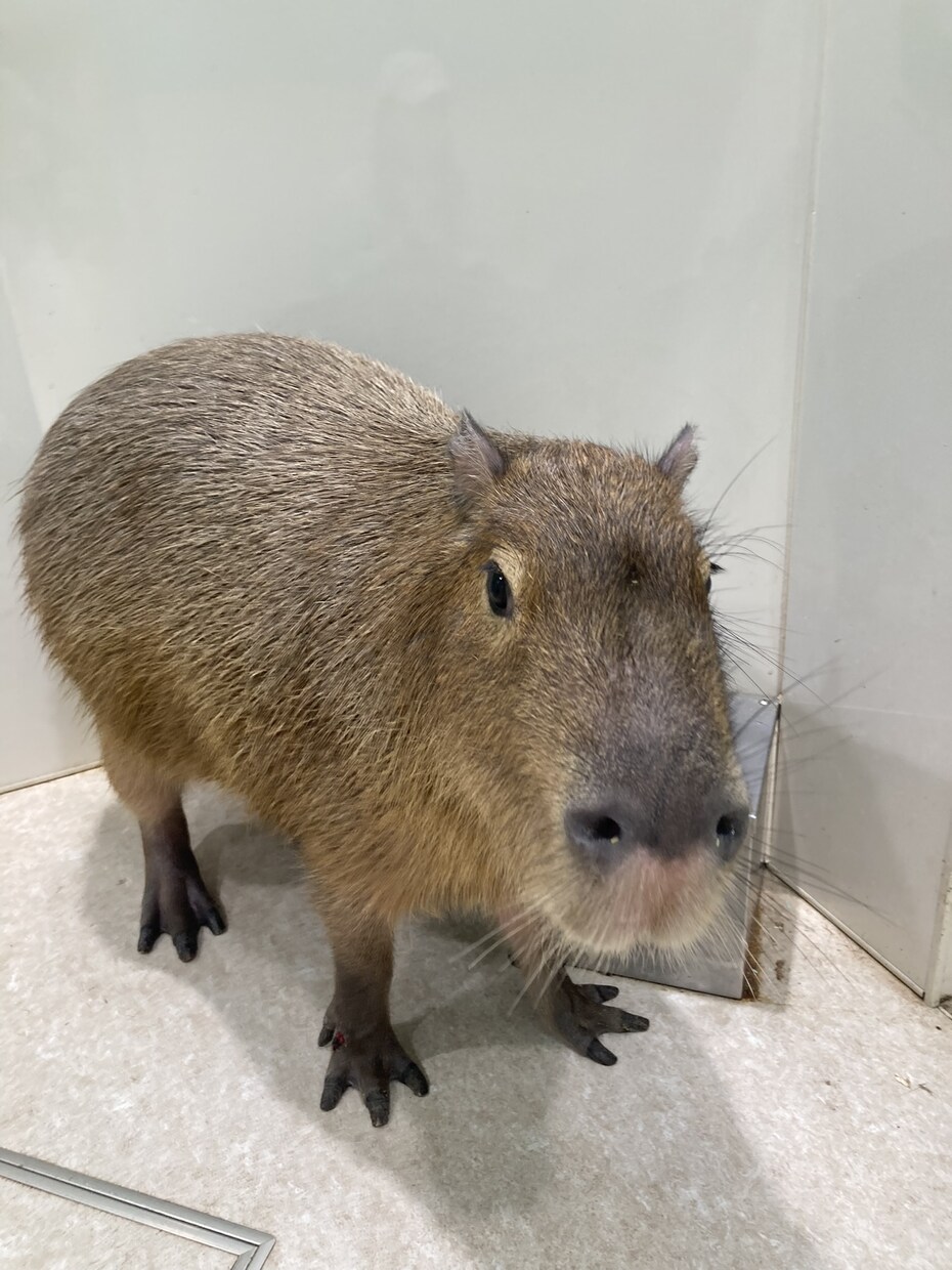 様々なお悩みお聞きします 心、恋愛、愚痴等なんでもお話しください。 イメージ1