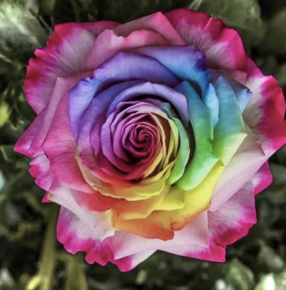 LGBTQ＋ 誰にも言えないお悩みをお聴きします ありのままのあなたで大丈夫❤️どんな話でも優しく受け止めます イメージ5