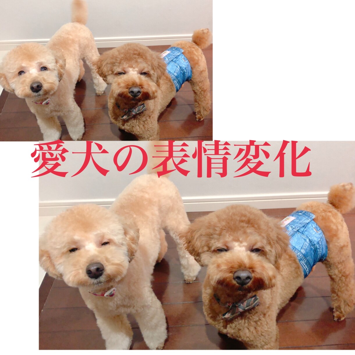 最高の1枚に仕上げます 画像から要らないオブジェクトを消します イメージ2