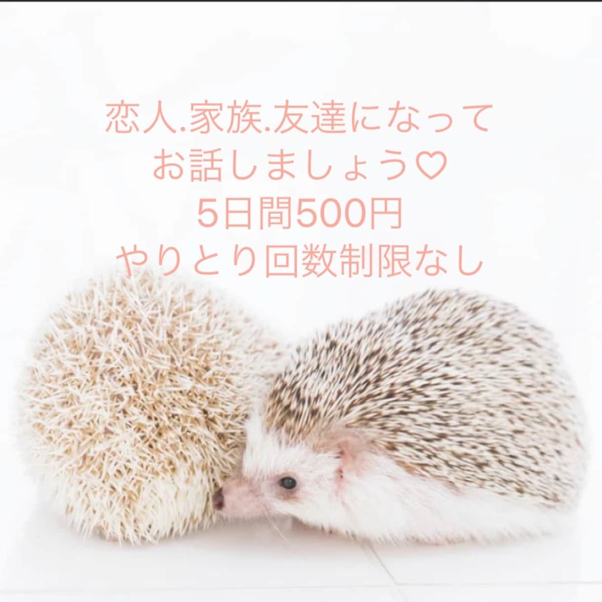ワンコインで5日間お話し聞きます 友人、家族、恋人に(*´꒳`*)ご要望にお応えします♡ イメージ1