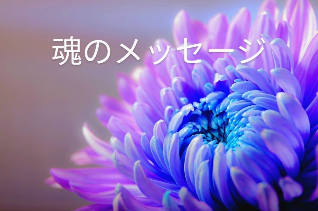いま必要な【魂からのメッセージ】お伝えします 【個人情報不要】あなたの魂とつながってお伝えします イメージ1