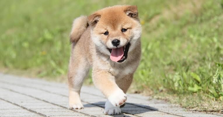 愚痴　恋愛相談　人生相談何でも相談乗ります 私の経験談などを活かしアドバイスします！ イメージ1