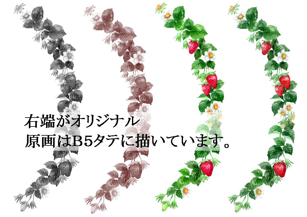 アナログ水彩でかわいくリアルな植物イラスト描きます リアルすぎず正確に、あたたかな色合いとふんわりしたタッチで イメージ5