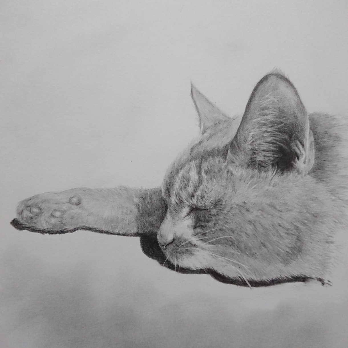 愛する家族やペットをリアルで温かな鉛筆画に描きます あなたの大切な思い出を記念に残しませんか？ イメージ9