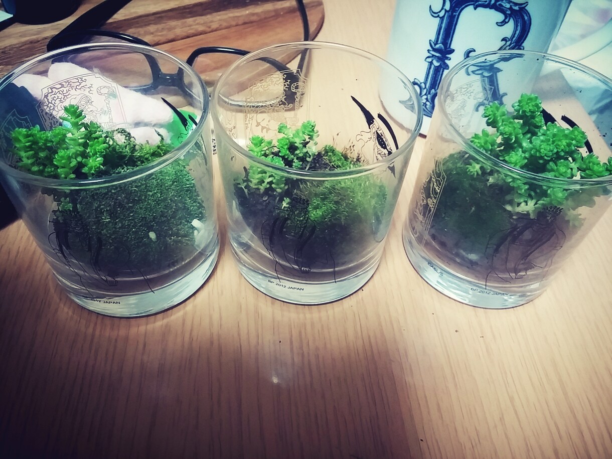 好きを仕事にしたいをアドバイスします 明日に繋がるこの瞬間が大事だと感じることの出来る人へ イメージ1