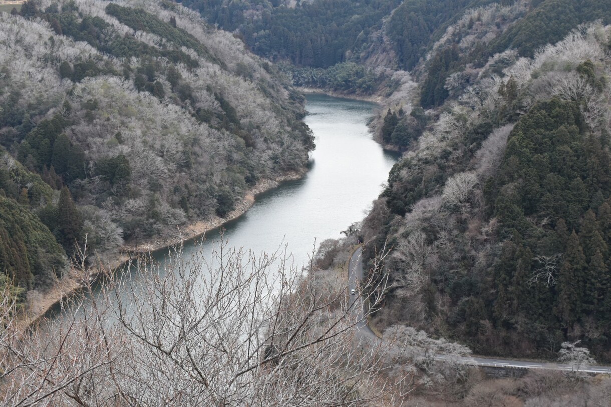 写真素材を提供します 自然派写真を撮影して提供します。 イメージ2