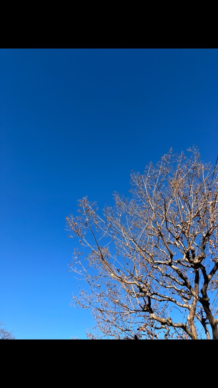 1分からOK！気分変調性障害当事者が寄り添います 症状/うつ病との違い/双極性障害との違い/悩み/不安 イメージ4