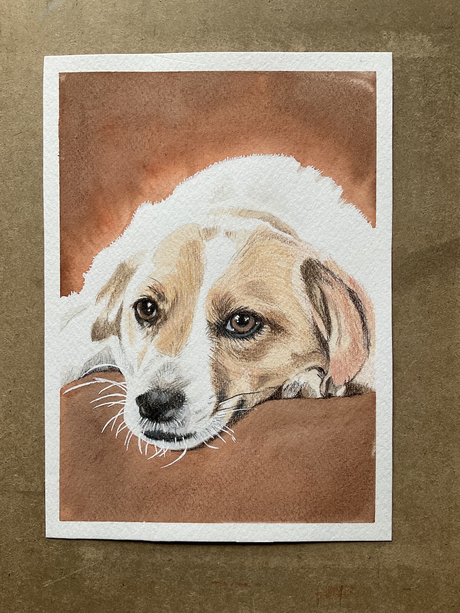 水彩であなたのペットの似顔絵を描きます Ａ5サイズの厚めの水彩紙にペットの似顔絵をリアルに描きます。 イメージ3