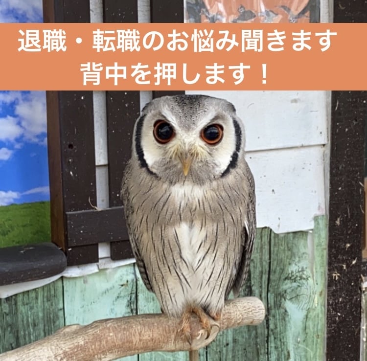 退職・転職・開業に関するモヤモヤお聞きします 背中を押して！会社員から個人事業主になった体験談を聞かせて！ イメージ1