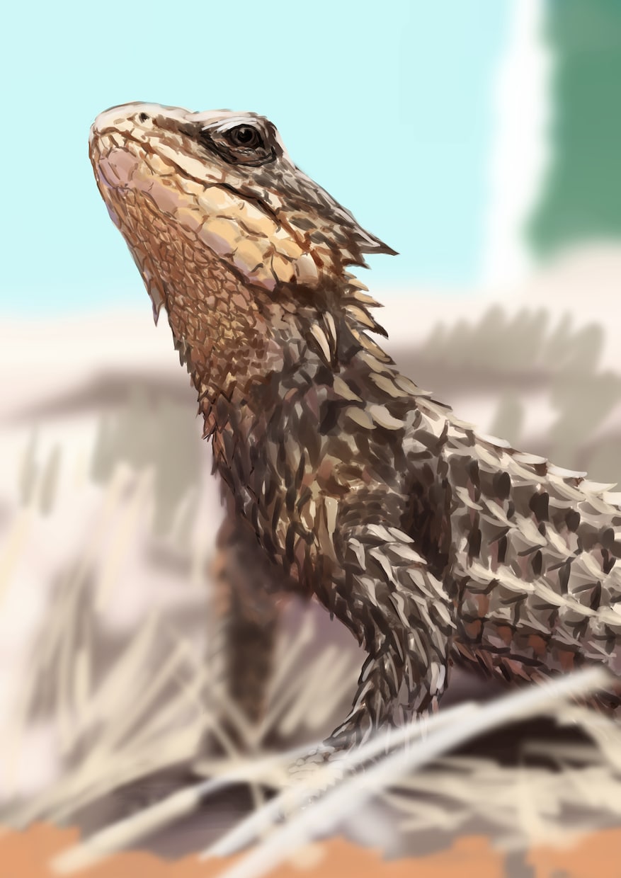 愛犬・ペットのイラストを制作いたします あなたのペットのイラストをアイコンや壁紙に！ イメージ4