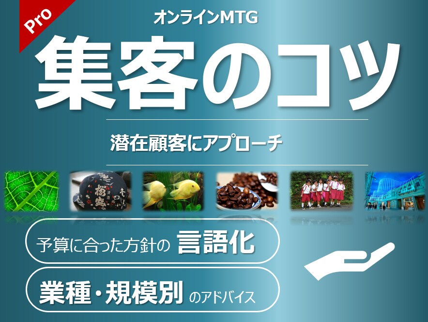 集客のコツ、成功例と失敗例をお伝えします 効率的な集客で、新規事業を軌道に乗せるお手伝い。 イメージ1