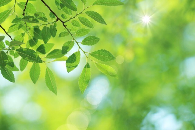 恋愛相談♡不安が強いあなたの恋を応援します 不安障害/パニック/依存/分離不安/経験者がお聞きします イメージ7