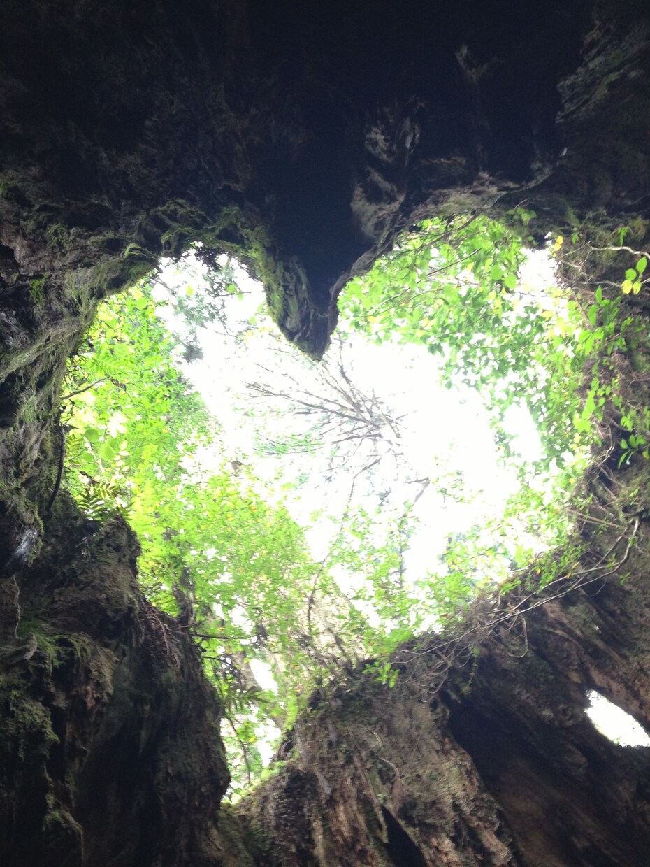 あなたの欲しい言葉、差し上げます 何に悩んでいるのか、何が辛いのかよくわからないあなたへ イメージ1