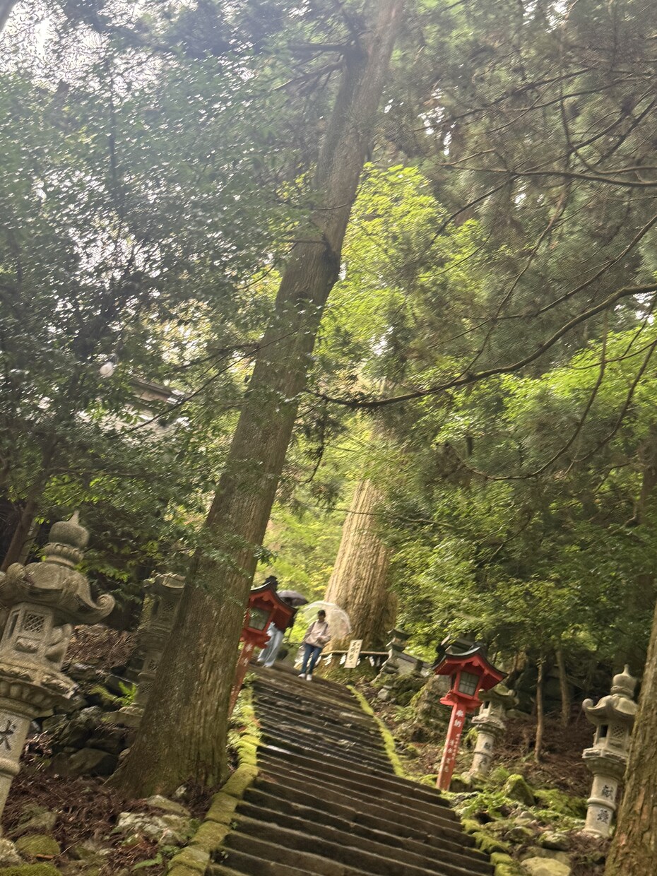 復活愛♥️【高次元霊視】お気持ち波動の流れ視ます 復縁の可能性と最適なタイミングを専門リーディング♥️ イメージ2