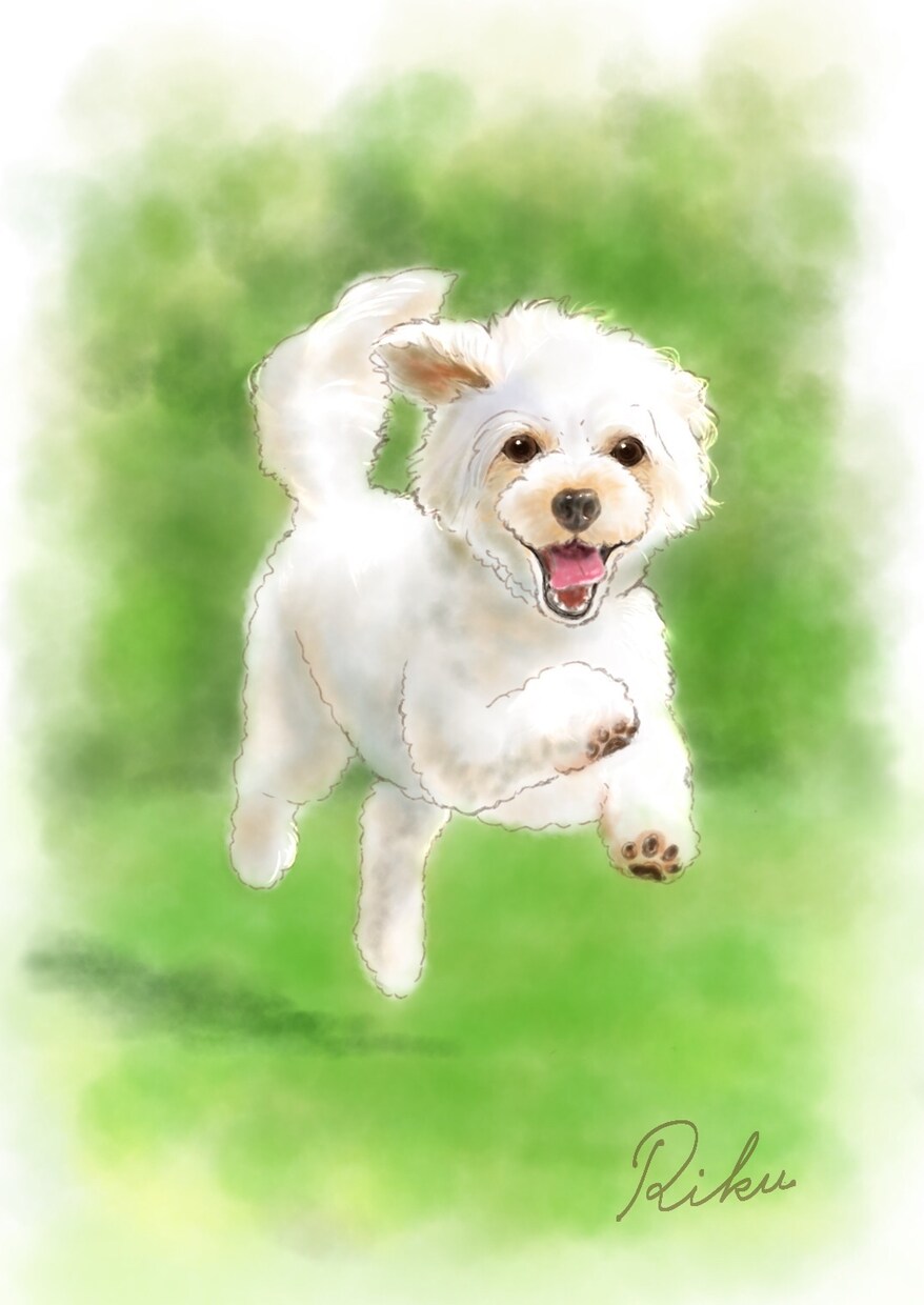 優しいタッチのペットのイラスト作成します 貴方のペットの写真を元にふんわりしたイラストをお描きします。 イメージ3