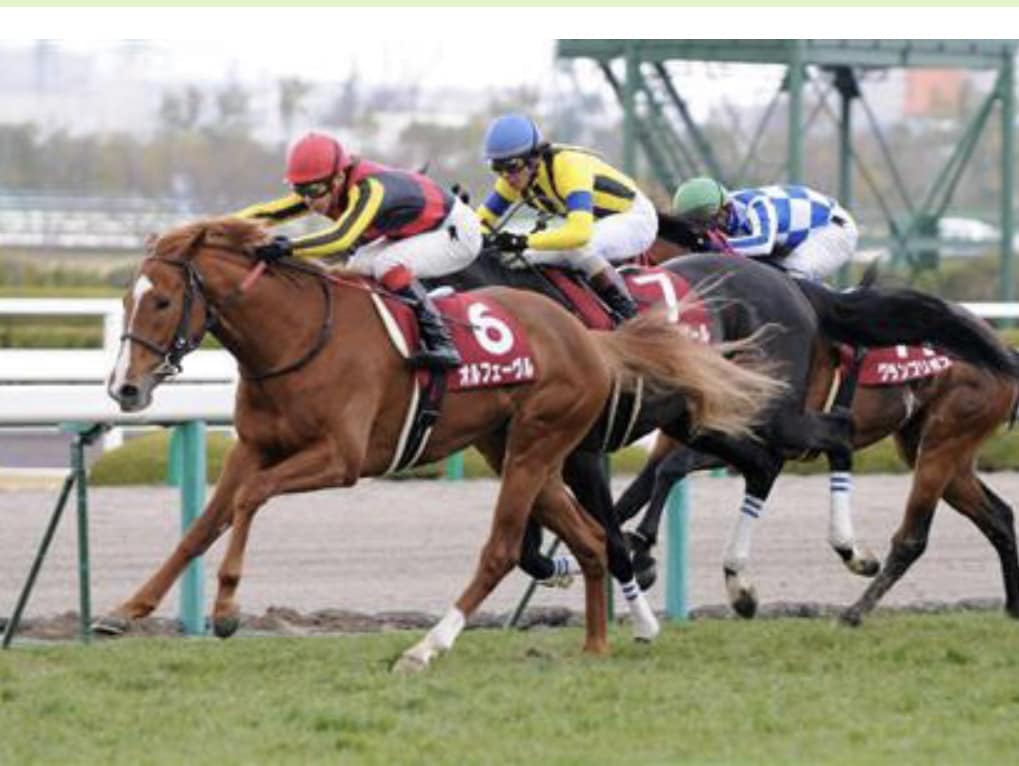 新馬戦とメインレース（11R）の予想をします 参考になる予想をします。軽い気持ちでメッセージください。 イメージ1