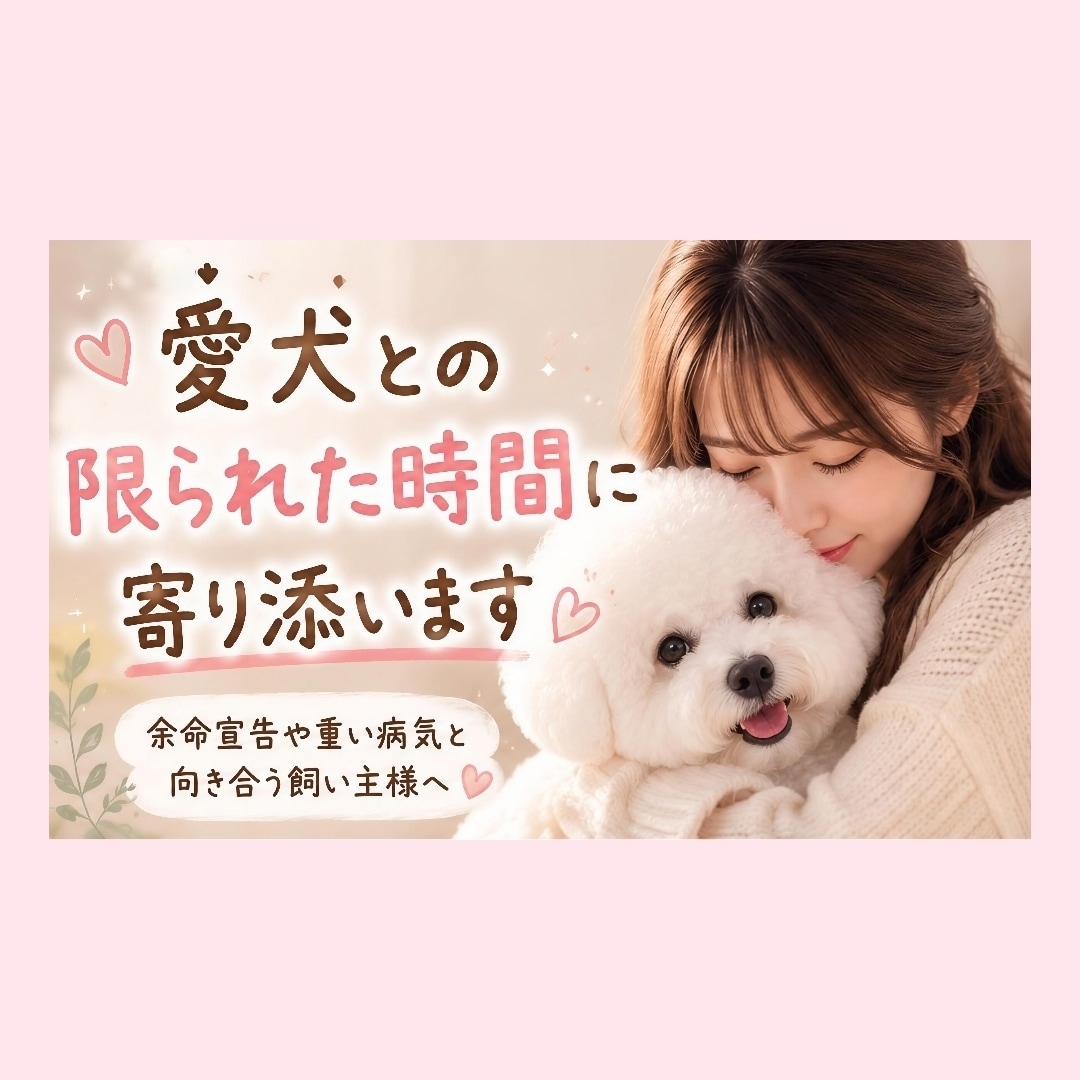 愛犬との限られた時間に寄り添います 残された大切な時間のお気持ちに寄り添います イメージ1