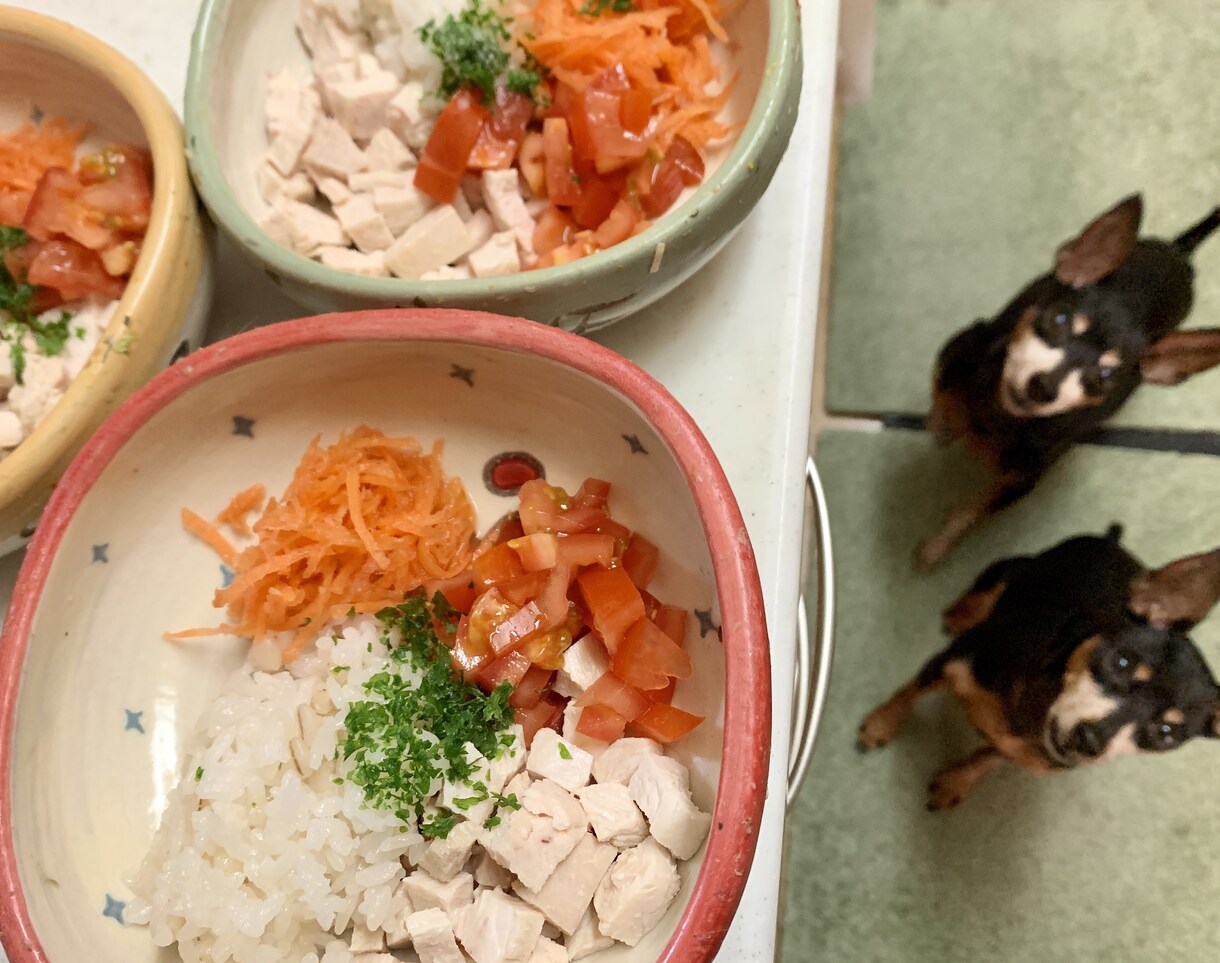簡単♪ヘルシー犬ごはん 基本の作り方教えます たっぷり食べて身体もスッキリ★手作り食を始めませんか？ イメージ2