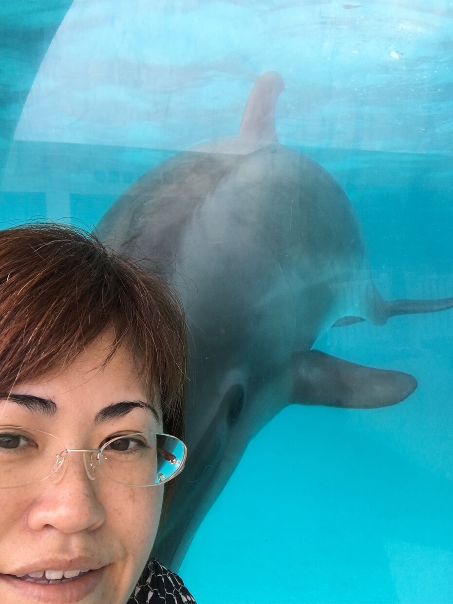 心の扉を開きます イメージ1