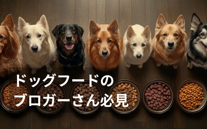 ブログを魅力的に彩る高品質な画像を提供します 共感と購入意欲を引き出すリアルな画像 イメージ1