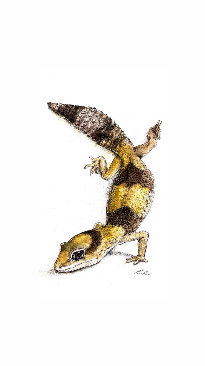 あなたの相棒を描きます 類は関係無し！あなたの家族を絵に残しませんか？ イメージ1