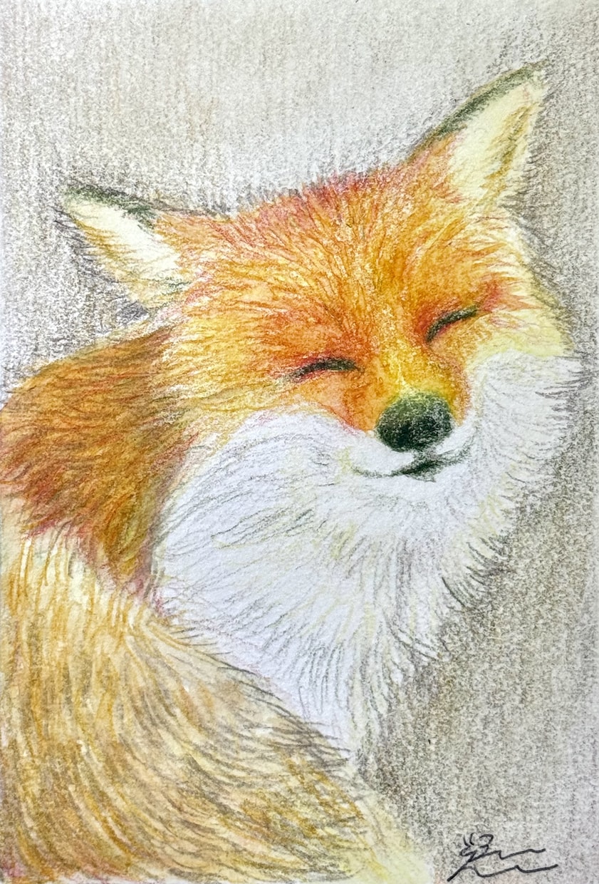 配送無料でお届け＊うちのこペットお描きます 水彩色鉛筆の手描き原画を送料無料でお届け＊贈り物・ご自宅用に イメージ2