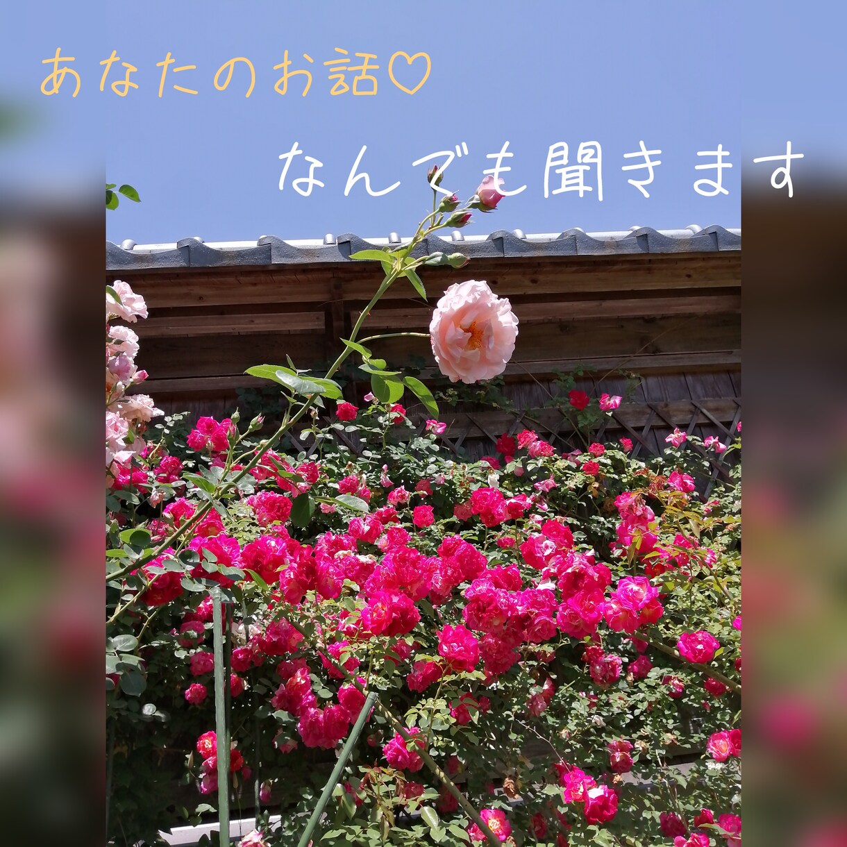 誰かとお話したい時に、わたしが寄り添います あなたの気持ちをありのままにすべて受けとめます♡ イメージ1