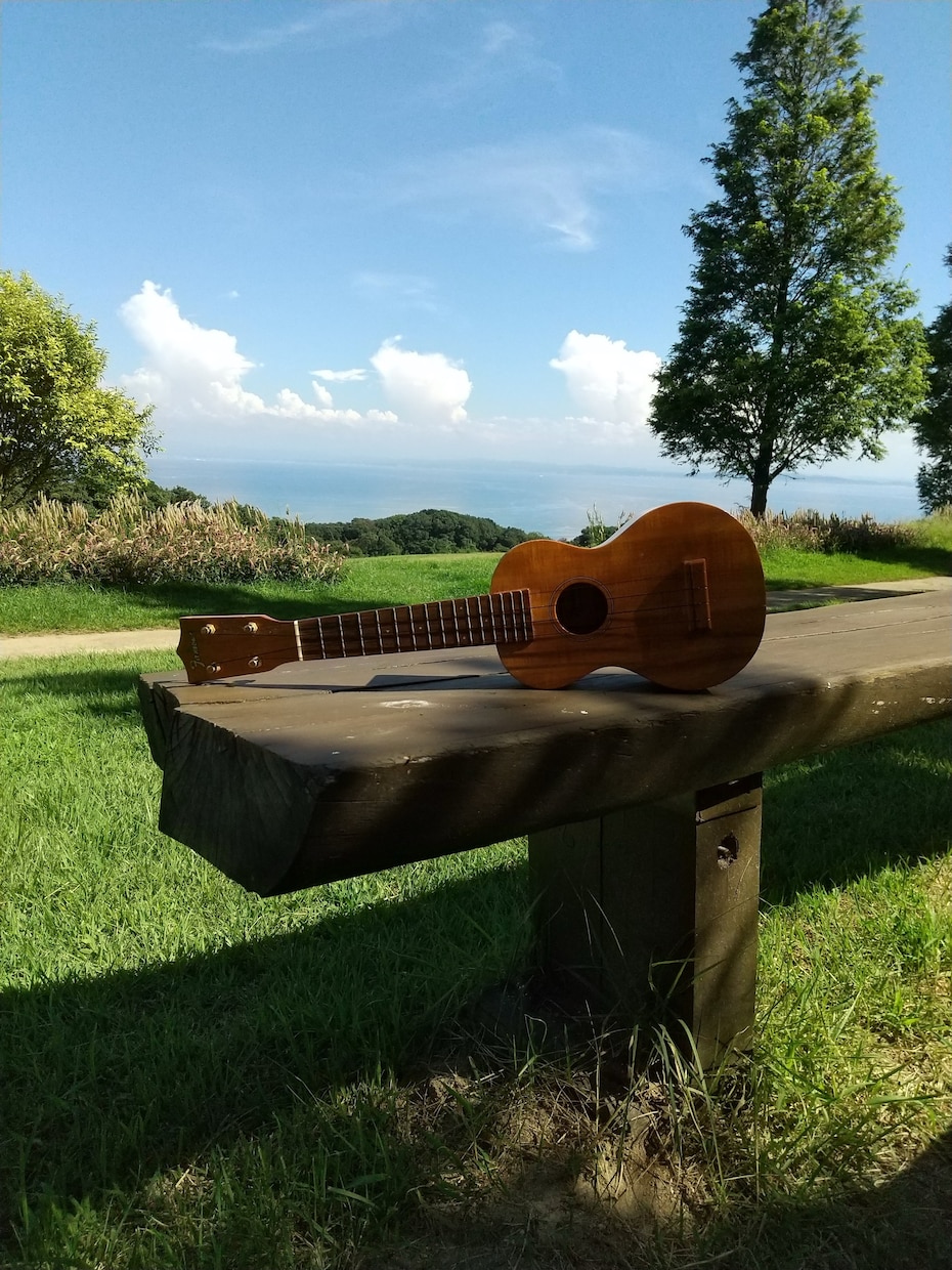 ４回でウクレレ弾き語りご希望の曲をレッスンします ４回のレッスンで人前で自信をもって弾き語れる練習をします。 イメージ6