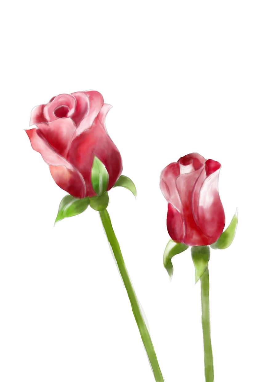 大好きなお花をデジタル水彩画で描きます 季節に合わせたお花を絵葉書にしてみませんか イメージ9