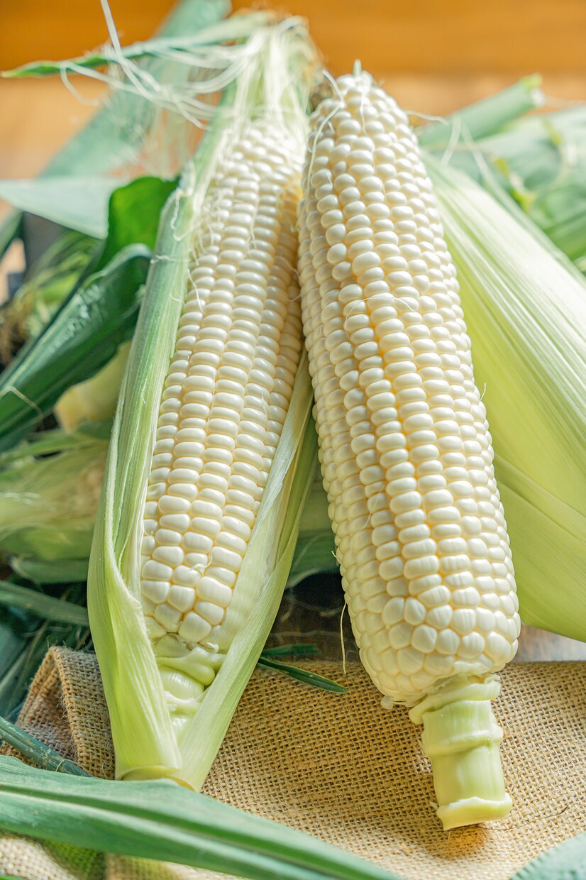 全６カット‼️食材からの料理写真撮影します 【プロの料理人が作る！】料理・食材写真撮影を承ります。 イメージ3