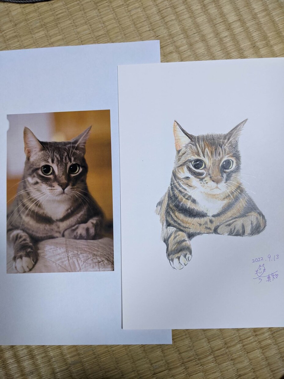 猫の似顔絵描きます 色鉛筆画で写真そっくりに描きます。 イメージ4