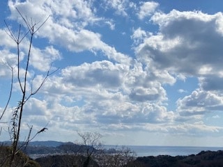 外観でわからぬ不調や働けない焦り…その声を聴きます 心に優しく寄り添います。自身のペースでゆっくりお話しください イメージ3