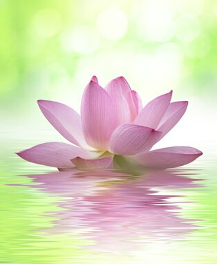 霊視鑑定◆視えたままを伝えます どんな悩みにも対応しています。お気軽にご相談下さい。 イメージ1