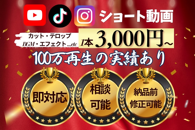 丸投げOK｜バズを狙うショート動画を制作します TikTok、Instagram、YouTubeなど対応可能 イメージ1