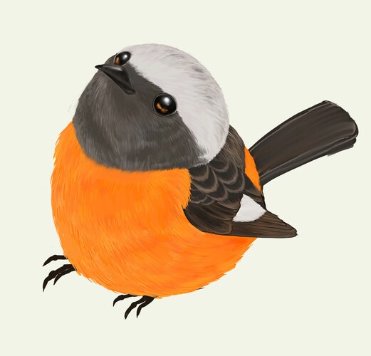 リアルな鳥のイラストを可愛らしく描きます 鳥のふわふわとした質感も表現できます。 イメージ2