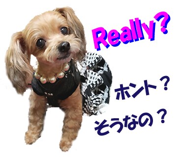 動画や静止画の編集をします 必要な所を繋ぎ合わせたり、音響や文字など入れられます。 イメージ10