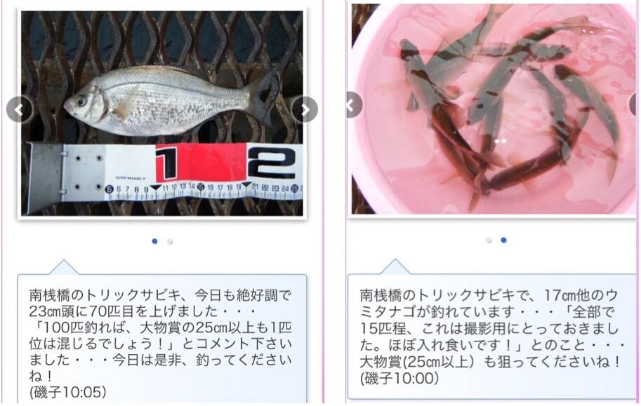 東京湾、横浜、護岸、海釣り公園　秘密釣り方教えます なんでこんなに釣れるの？GOGOフッシング イメージ10