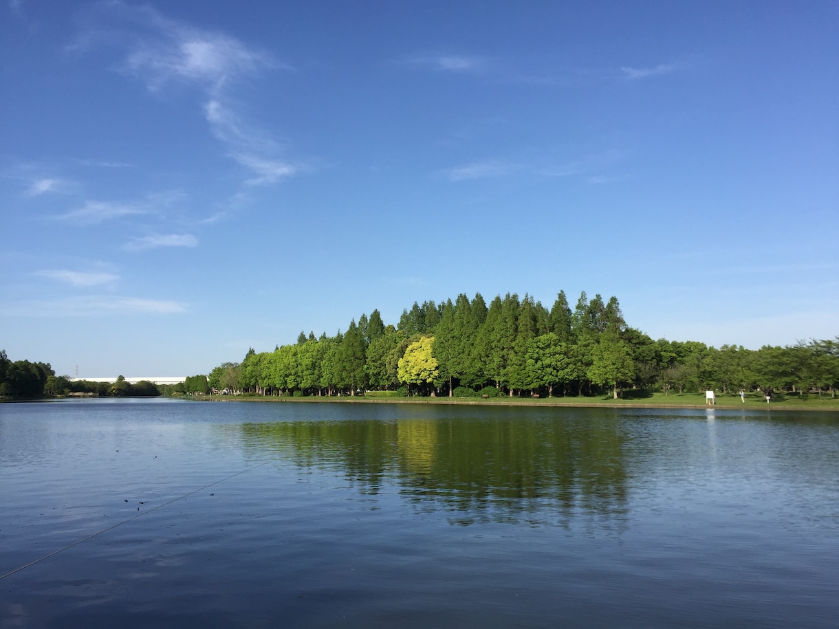 水元公園のフィッシングポイント伝授します 葛飾区随一の淡水小物釣り場水元公園の釣り場釣り方を教えます！ イメージ1