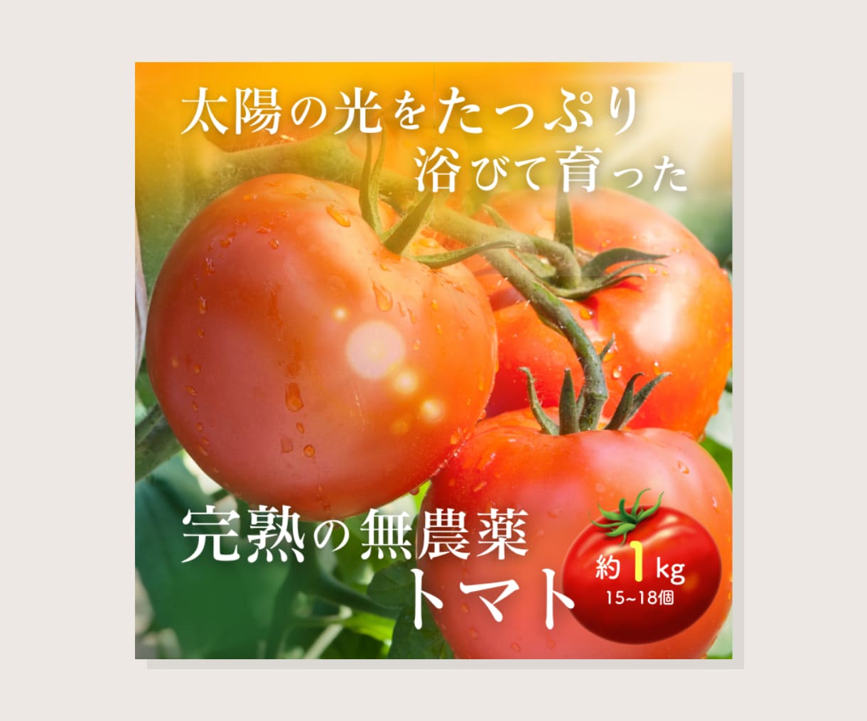 5枚¥5000！高品質！低単価！商品画像作ります 高クオリティ！低単価！商品の魅力引き出します イメージ4