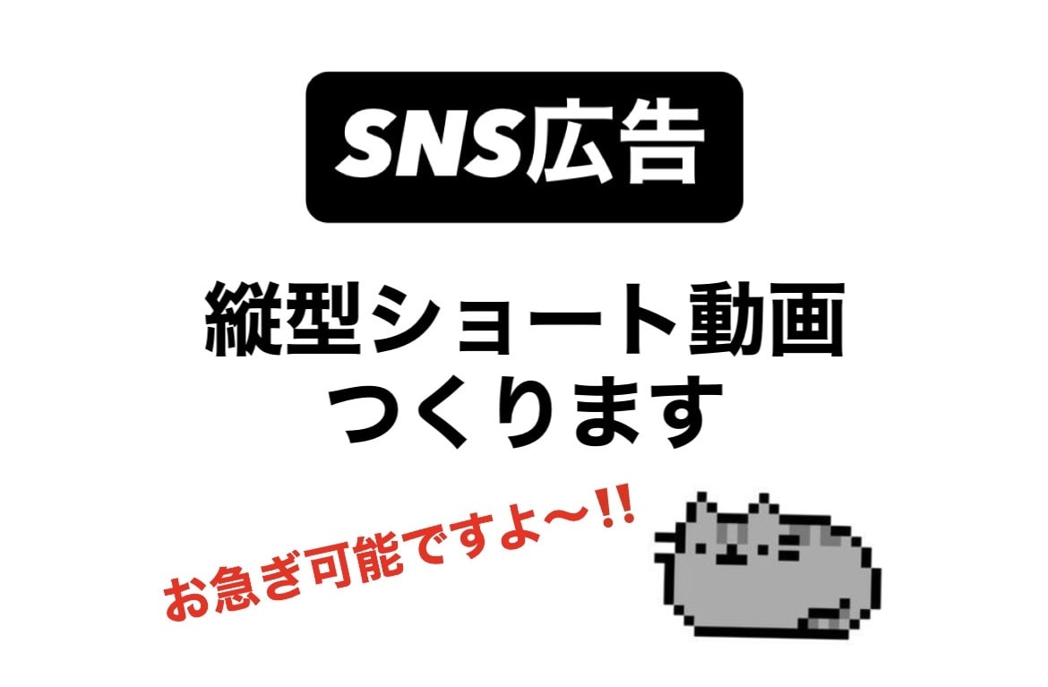 SNS用動画広告作ります 元大手人材会社クリエイティブグループ所属 イメージ1
